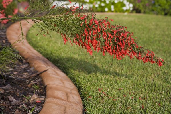 Brick Edging in Rockwall