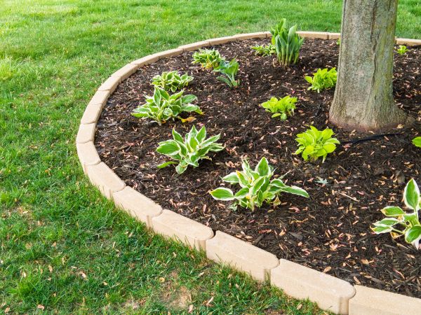 Stone Border Installation in Rockwall