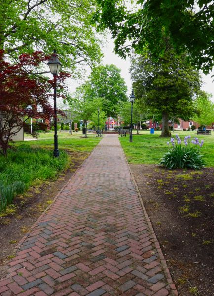 Brick Pathway Repair in Rockwall